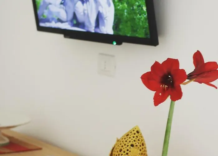 Palazzo Iato * Rutigliano